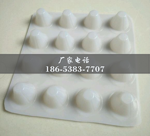 排水板廠家http://www.lambeauvillage.com/